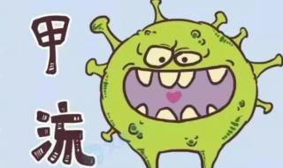 预防甲型h1n1流感 预防甲型h1n1流感