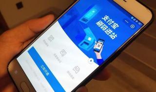 支付宝搜索 支付宝搜索