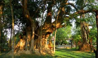 德宏傣族景颇族自治州 德宏傣族景颇族自治州