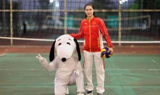 里约奥运会女排阵容 里约奥运会女排阵容